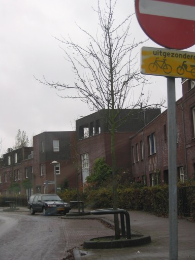 Noordzijde